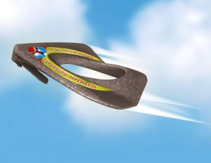 Planer"Viitorii politisti" Günther