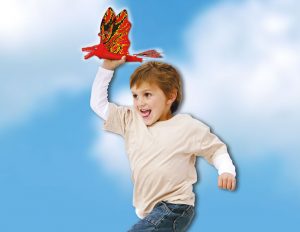 Modelul de zbor "SINOPTERUS" Günther - imagine 2