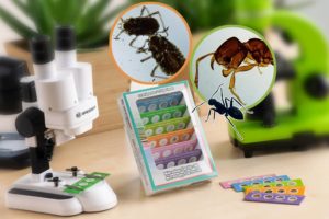 Set Experimental p-u Microscop Junior BRESSER - imagine 2