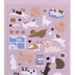 Stickers "Ciine" Apli