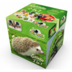 Noriel Games-Cutiuta cu activitati 2 in 1 Noriel