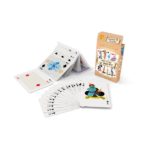 Carti de joc de poveste (55 cards) Noriel