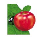 Primii pasi. Marul. 2011 Prut