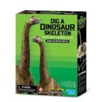 Set educativ Brachiosaurus 4M Kidz Labs