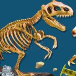 Set creatie Predators LISCIANI - imagine 2