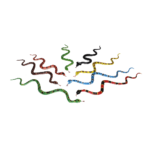 Set figurine sarpe Wild Republic — изображение 2