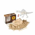 Set arheologic STEGOSAURUS Wild Republic