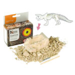 Set arheologic TRICERATOPS Wild Republic