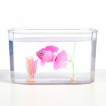 Peste interactiv in acvariu Moose — изображение 2