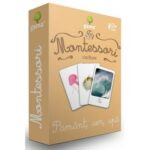 Carti de joc Montessori. Pamant, aer, apa/clasificare. GAMA, 2016.