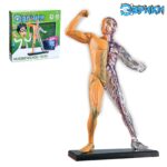 EUREKA Set de experimente, "Corpul uman" SIMA-LAND №SL-01926