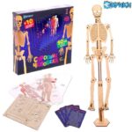 EUREKA Set de experimente, "Modele Anatomie" SIMA-LAND