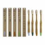 ECODENTA PERIUTA DE DINTI DIN BAMBUS (MOALE)