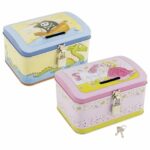 Pusculita cu locata in assort ( Princesa/ Pirat) Goki