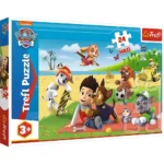 Puzzles - "24 Maxi" - Fun on the blanket / Viacom PAW Patrol