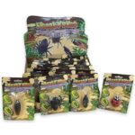 Jucarie Insecte in asort. Dinotoys