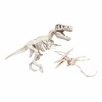 Set de joaca arheologice T-Rex fosforescent Archeofun Clementoni - imagine 2