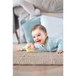 Zornaitoare buburuza — изображение 3