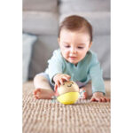 Zornaitoare buburuza — изображение 4