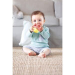 Zornaitoare buburuza — изображение 5