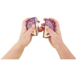 Set cu legume - imagine 5