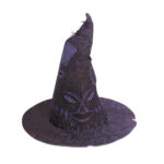 Palarie magica - Harry Potter RUBIES