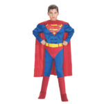 Costum Deluxe Superman L RUBIES