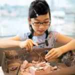 Set sapaturi arheologice Dig a Pteranodon skeleton 4M — изображение 5