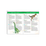 Puzzle observatie Dinozauri Djeco — изображение 3