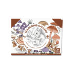 Mapa cu 3 postere de colorat Natura Djeco