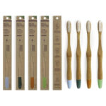 Periuta de dinti din bambus medie Ecodenta