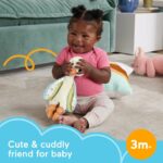 Jucarie conforter din plus Boboc Fisher-Price Mattel - imagine 3