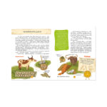 Alfabetizarea financiara in basme. Istoria monedei / Uleva E. CLEVER — изображение 2