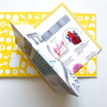 Enciclopedii uimitoare. Cum functioneaza corpul uman. Un ghid colorat pentru corpul nostru CLEVER — изображение 2