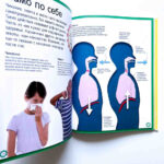 Enciclopedii uimitoare. Cum functioneaza corpul uman. Un ghid colorat pentru corpul nostru CLEVER — изображение 4