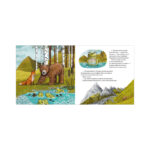 Carti ilustrate. Unde a disparut raul? CLEVER — изображение 2