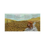 Carti ilustrate. Unde a disparut raul? CLEVER — изображение 4