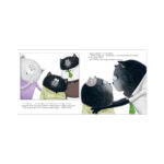 Carti ilustrate cu autocolante. Pisoiul Smeac si un mare secret. Carte autocolant / Scotton R. CLEVER (rus) — изображение 2