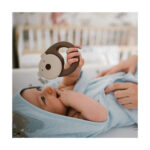 Zornaitoare Urs Babyono — изображение 3