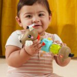 Jucarie Catalus Senzoriala Motorie pentru bebelusi Fisher-Price MATTEL - imagine 5