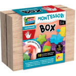 Set Montessori - Modelare LISCIANI