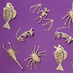 Decorare pentru Halloween schelet sobolan 17 x 12 x 16 cm BOLAND - imagine 4