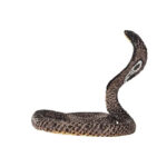 Figurina Cobra MOJO — изображение 3