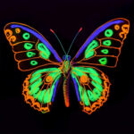 Vopsea Glow in the dark acril 4x60m ml GRAFIX — изображение 2