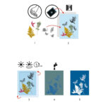 Atelier de creatie Cianotip Djeco — изображение 2