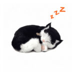 Jucarie interactiva  Pisicuta neagra-alba Perfect Petzzz — изображение 2