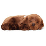 Jucarie interactiva  Labrador Ciocolatiu Perfect Petzzz — изображение 2