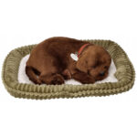 Jucarie interactiva  Labrador Ciocolatiu Perfect Petzzz