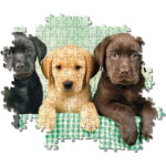 Puzzle Catelusi 1000 piese CLEMENTONI — изображение 2