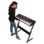 Ionica cu 61 de clape electronice Bontempi — изображение 5